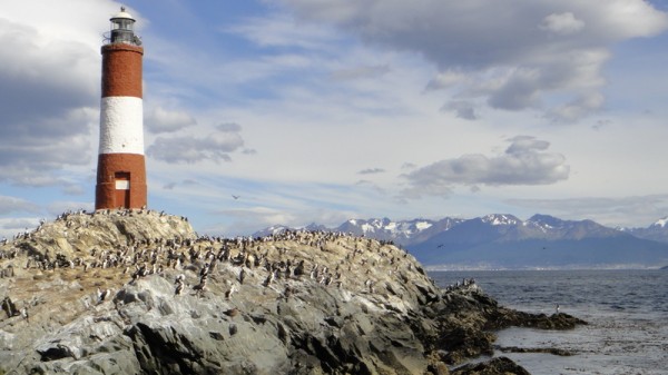 Ile aux cormorans